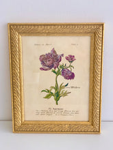 Load image into Gallery viewer, Framed “Flowers in March” Print