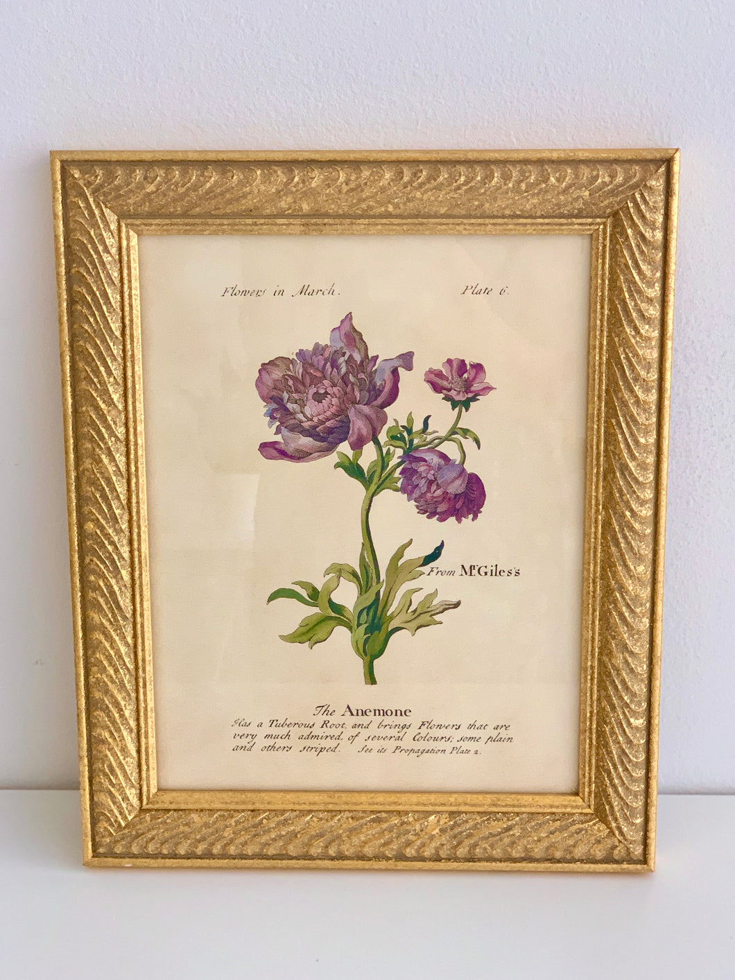 Framed “Flowers in March” Print