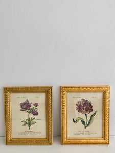 Framed “Flowers in March” Print
