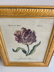 Framed “Flowers in April” Print