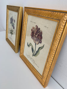 Framed “Flowers in April” Print